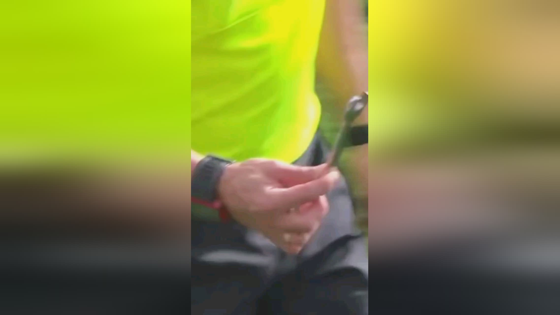 了不少关
