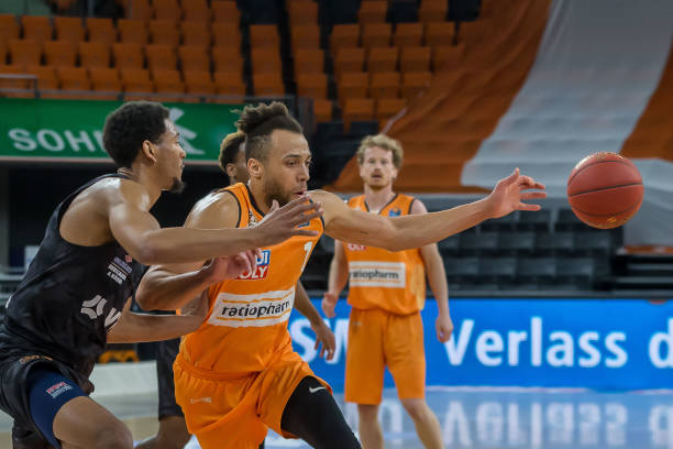 的适应能力 的适应能力